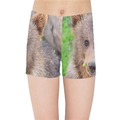 Baby Bear Animals Kids Sports Shorts by Mariart