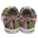 Baby Bear Animals Women s Low Top Canvas Sneakers View4