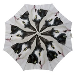 Cat Face Cute Black White Animals Straight Umbrellas