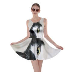 Cat Face Cute Black White Animals Skater Dress by Mariart