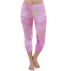 Cosmos Flower Floral Sunflower Star Pink Frame Capri Winter Leggings  by Mariart