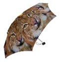 Tiger Beetle Lion Tiger Animals Mini Folding Umbrellas View2