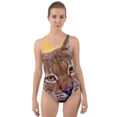 Tiger Beetle Lion Tiger Animals Cut-out Back One Piece Swimsuit by Mariart