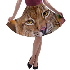 Tiger Beetle Lion Tiger Animals A-line Skater Skirt