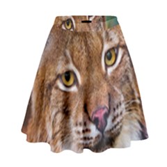 Tiger Beetle Lion Tiger Animals High Waist Skirt by Mariart