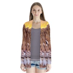 Tiger Beetle Lion Tiger Animals Drape Collar Cardigan by Mariart