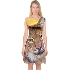 Tiger Beetle Lion Tiger Animals Capsleeve Midi Dress