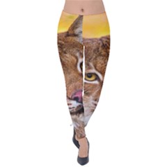 Tiger Beetle Lion Tiger Animals Velvet Leggings by Mariart