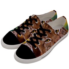 Tiger Beetle Lion Tiger Animals Men s Low Top Canvas Sneakers by Mariart