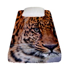 Tiger Beetle Lion Tiger Animals Leopard Fitted Sheet (single Size) by Mariart