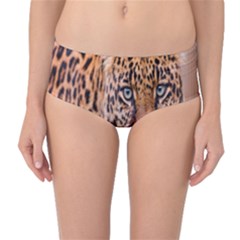 Tiger Beetle Lion Tiger Animals Leopard Mid-waist Bikini Bottoms