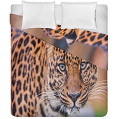 Tiger Beetle Lion Tiger Animals Leopard Duvet Cover Double Side (california King Size) by Mariart