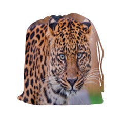 Tiger Beetle Lion Tiger Animals Leopard Drawstring Pouches (xxl) by Mariart