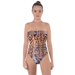 Tiger Beetle Lion Tiger Animals Leopard Tie Back One Piece Swimsuit by Mariart