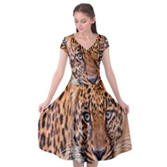 Tiger Beetle Lion Tiger Animals Leopard Cap Sleeve Wrap Front Dress by Mariart