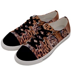 Tiger Beetle Lion Tiger Animals Leopard Men s Low Top Canvas Sneakers by Mariart