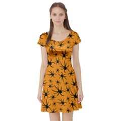 Pattern Halloween Black Spider Icreate Short Sleeve Skater Dress