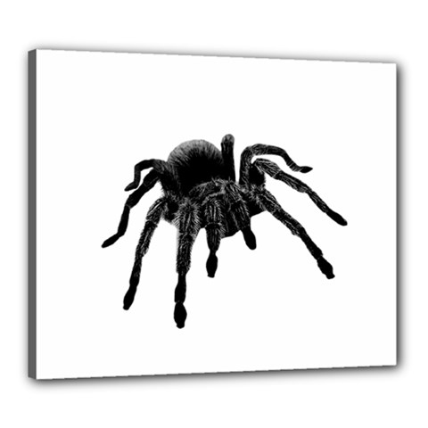 Tarantula Canvas 24  X 20  by Valentinaart