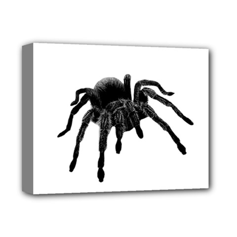 Tarantula Deluxe Canvas 14  X 11  by Valentinaart