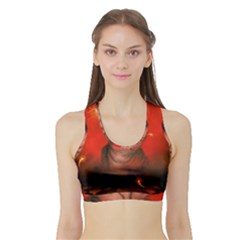 Cute Little Kitten, Red Background Sports Bra With Border by FantasyWorld7
