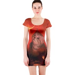 Cute Little Kitten, Red Background Short Sleeve Bodycon Dress