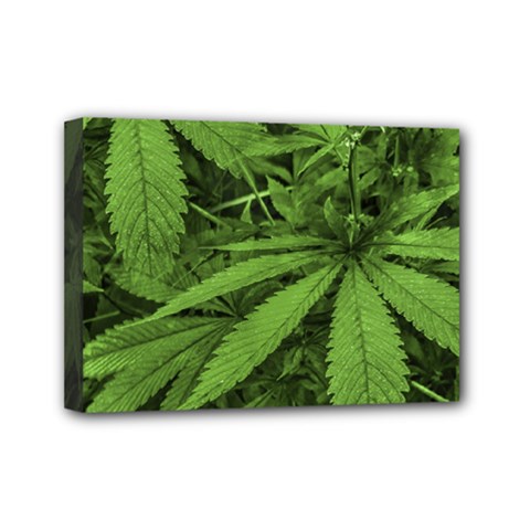 Marijuana Plants Pattern Mini Canvas 7  x 5 