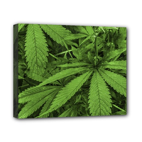 Marijuana Plants Pattern Canvas 10  x 8 