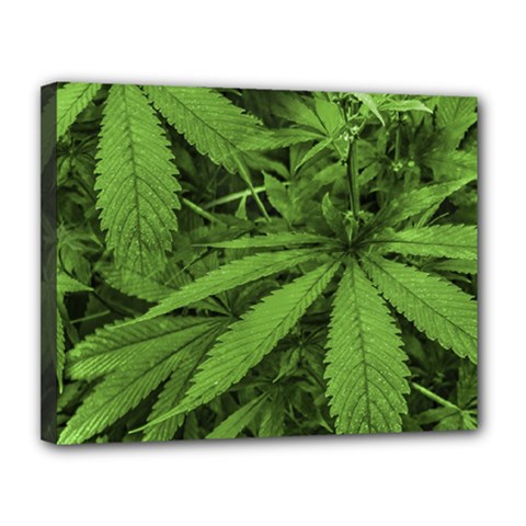 Marijuana Plants Pattern Canvas 14  x 11 