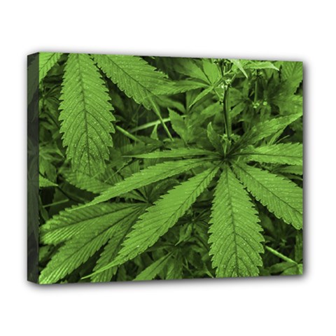 Marijuana Plants Pattern Deluxe Canvas 20  x 16  