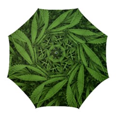 Marijuana Plants Pattern Golf Umbrellas by dflcprints