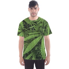 Marijuana Plants Pattern Men s Sports Mesh Tee