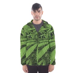 Marijuana Plants Pattern Hooded Wind Breaker (Men)