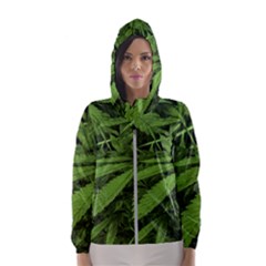 Marijuana Plants Pattern Hooded Wind Breaker (Women)