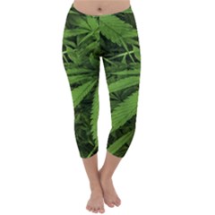 Marijuana Plants Pattern Capri Winter Leggings 