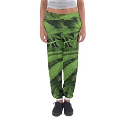 Marijuana Plants Pattern Women s Jogger Sweatpants by dflcprints