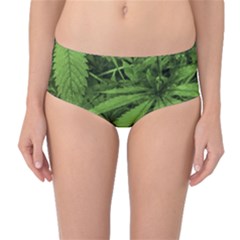 Marijuana Plants Pattern Mid-Waist Bikini Bottoms