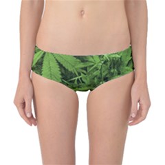 Marijuana Plants Pattern Classic Bikini Bottoms