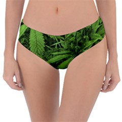 Marijuana Plants Pattern Reversible Classic Bikini Bottoms by dflcprints