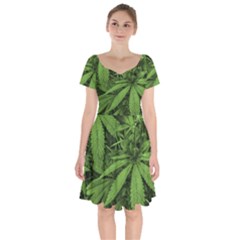 Marijuana Plants Pattern Short Sleeve Bardot Dress