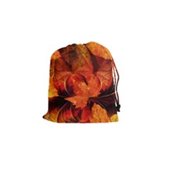 Ablaze With Beautiful Fractal Fall Colors Drawstring Pouches (small)  by jayaprime
