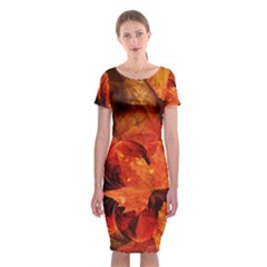 Ablaze With Beautiful Fractal Fall Colors Classic Short Sleeve Midi Dress by jayaprime