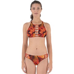 Ablaze With Beautiful Fractal Fall Colors Perfectly Cut Out Bikini Set by jayaprime