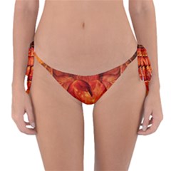 Ablaze With Beautiful Fractal Fall Colors Reversible Bikini Bottom by jayaprime