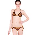 Beautiful Gold And Brown Honeycomb Fractal Beehive Bikini Set View3