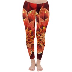 Beautiful Ruby Red Dahlia Fractal Lotus Flower Classic Winter Leggings by jayaprime