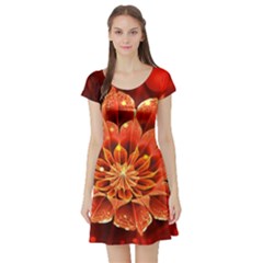 Beautiful Ruby Red Dahlia Fractal Lotus Flower Short Sleeve Skater Dress by jayaprime