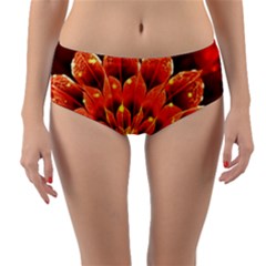 Beautiful Ruby Red Dahlia Fractal Lotus Flower Reversible Mid-waist Bikini Bottoms by jayaprime