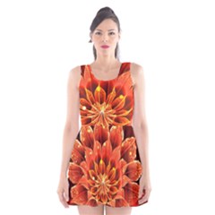 Beautiful Ruby Red Dahlia Fractal Lotus Flower Scoop Neck Skater Dress by jayaprime