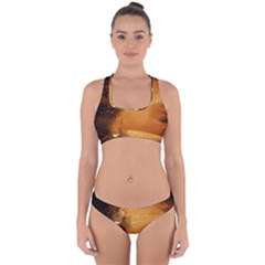 The Funny, Speed Giraffe Cross Back Hipster Bikini Set by FantasyWorld7