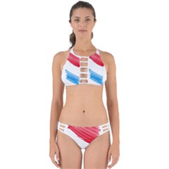 Tricolor Banner Watercolor Painting Art Perfectly Cut Out Bikini Set